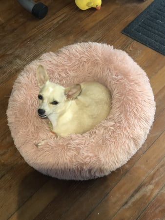 Images TWO Electrical Contracting