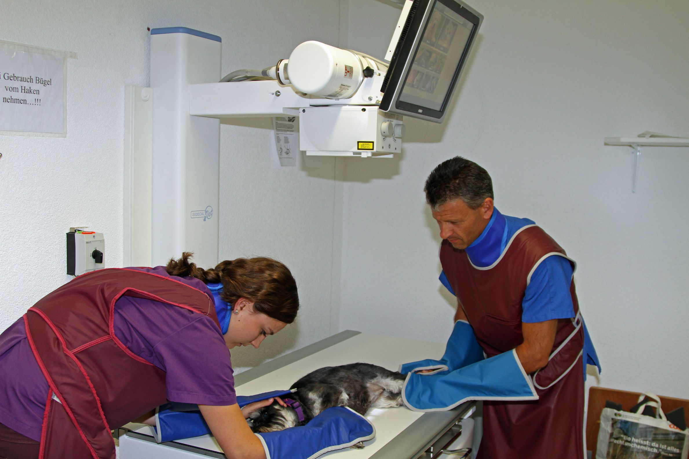 Bilder Kleintier- und Pferdepraxis im Dorf AG