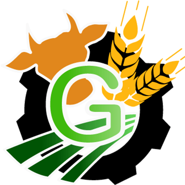 Logo von Franz Gstöttenmair