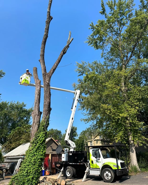 Images Friendly Tree Service Inc
