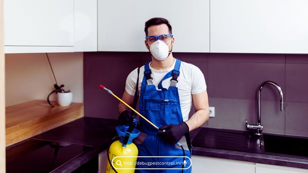 Images Pest Control Miami