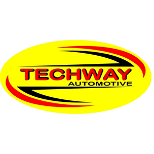 Techway Automotive Logo