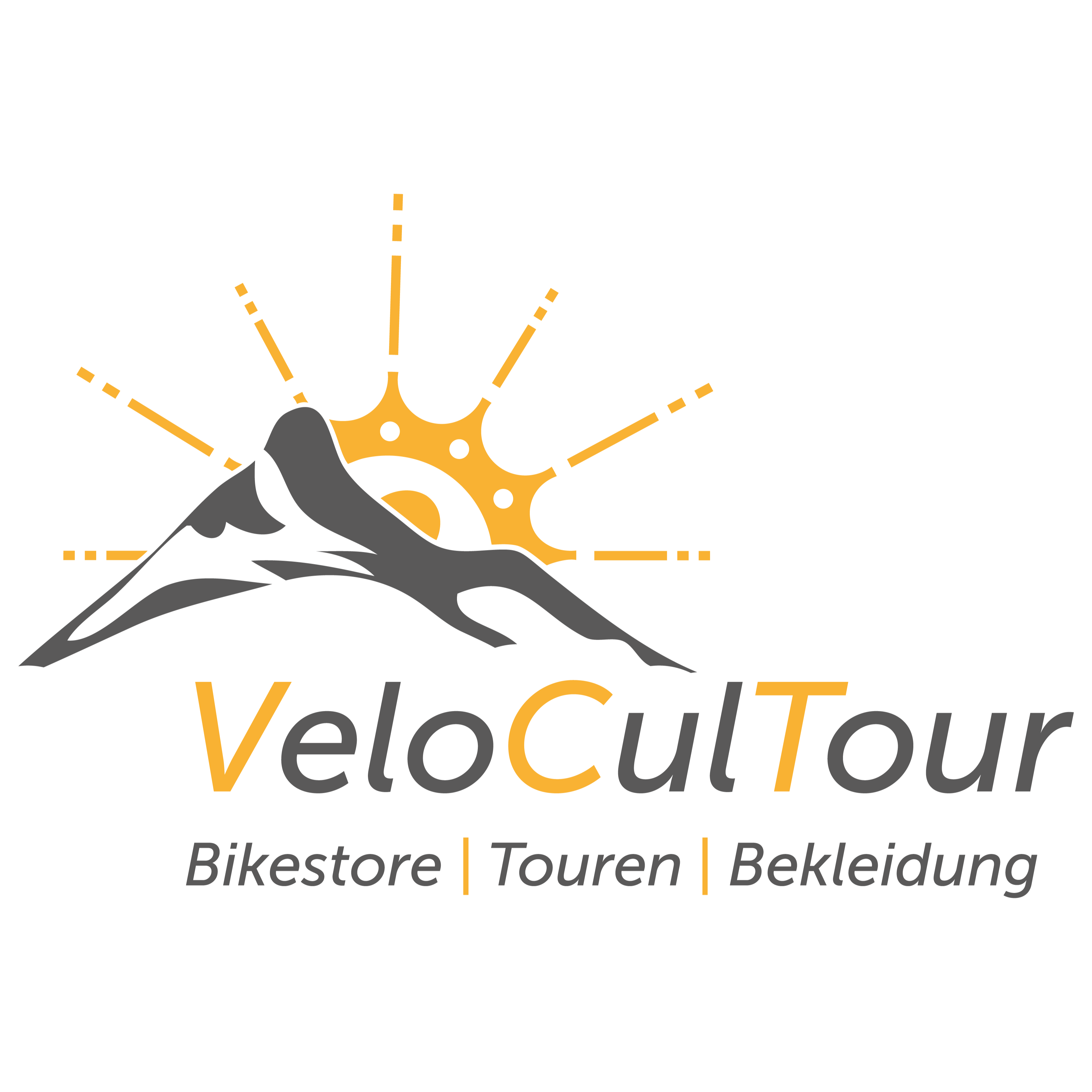 Logo VeloCulTour Main-Kinzig Logo