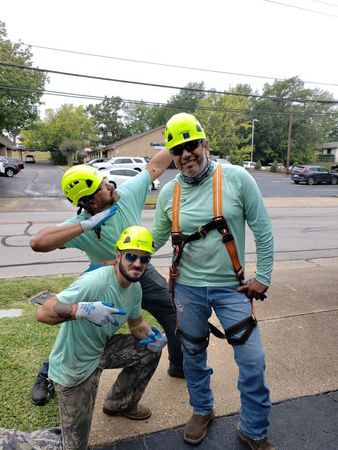 Images Glenn's Tree Service LLC