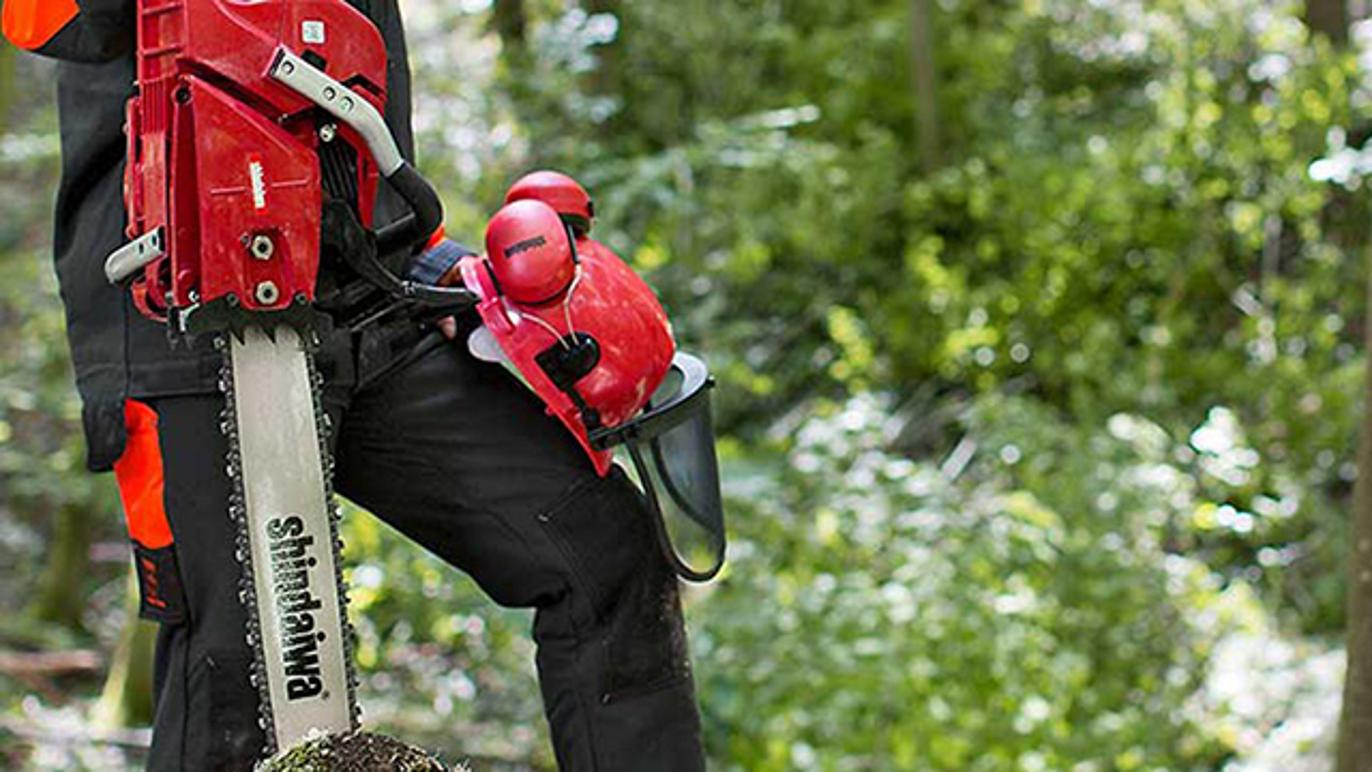 Images Grenaa Skov-Have & Marineservice V / Gustav Laurids Olling Rasmussen