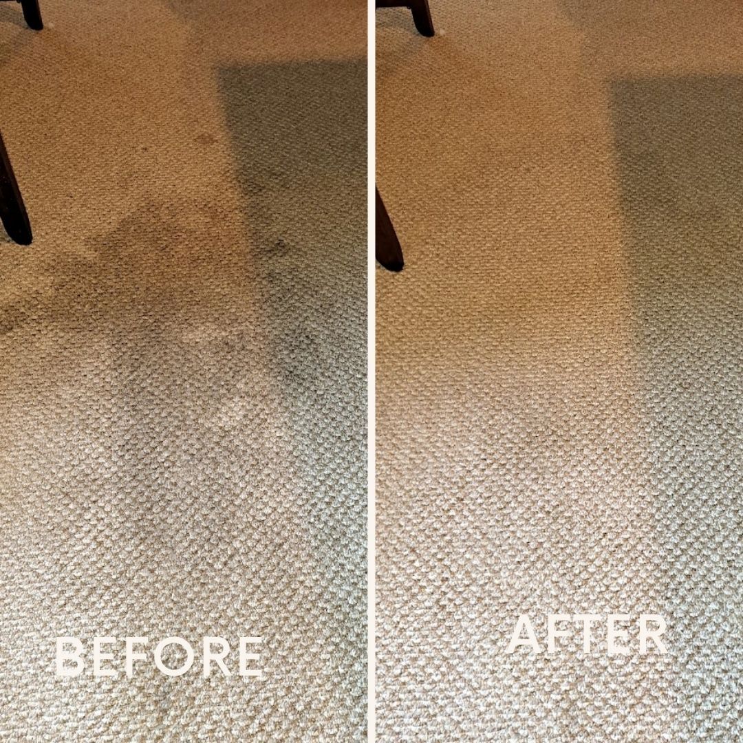 carpet cleaners in fort wayne professional carpet cleaning services