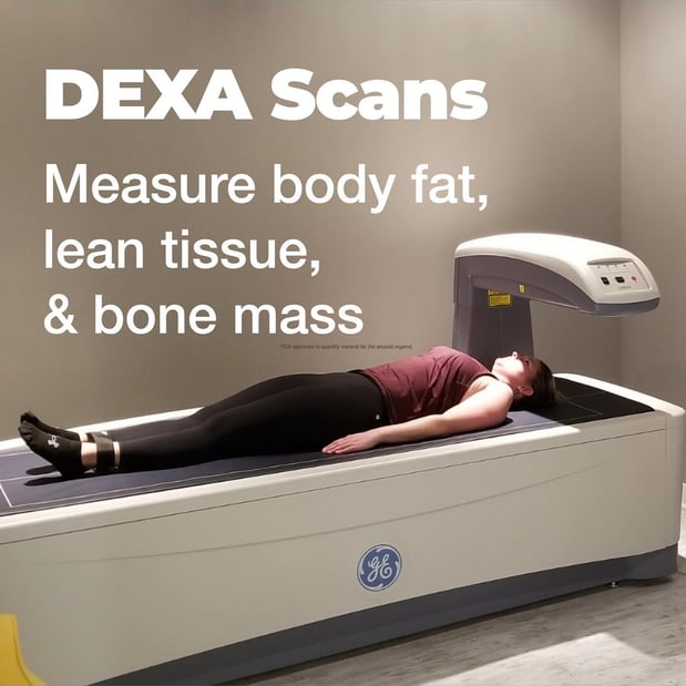 Images DexaFit Tempe