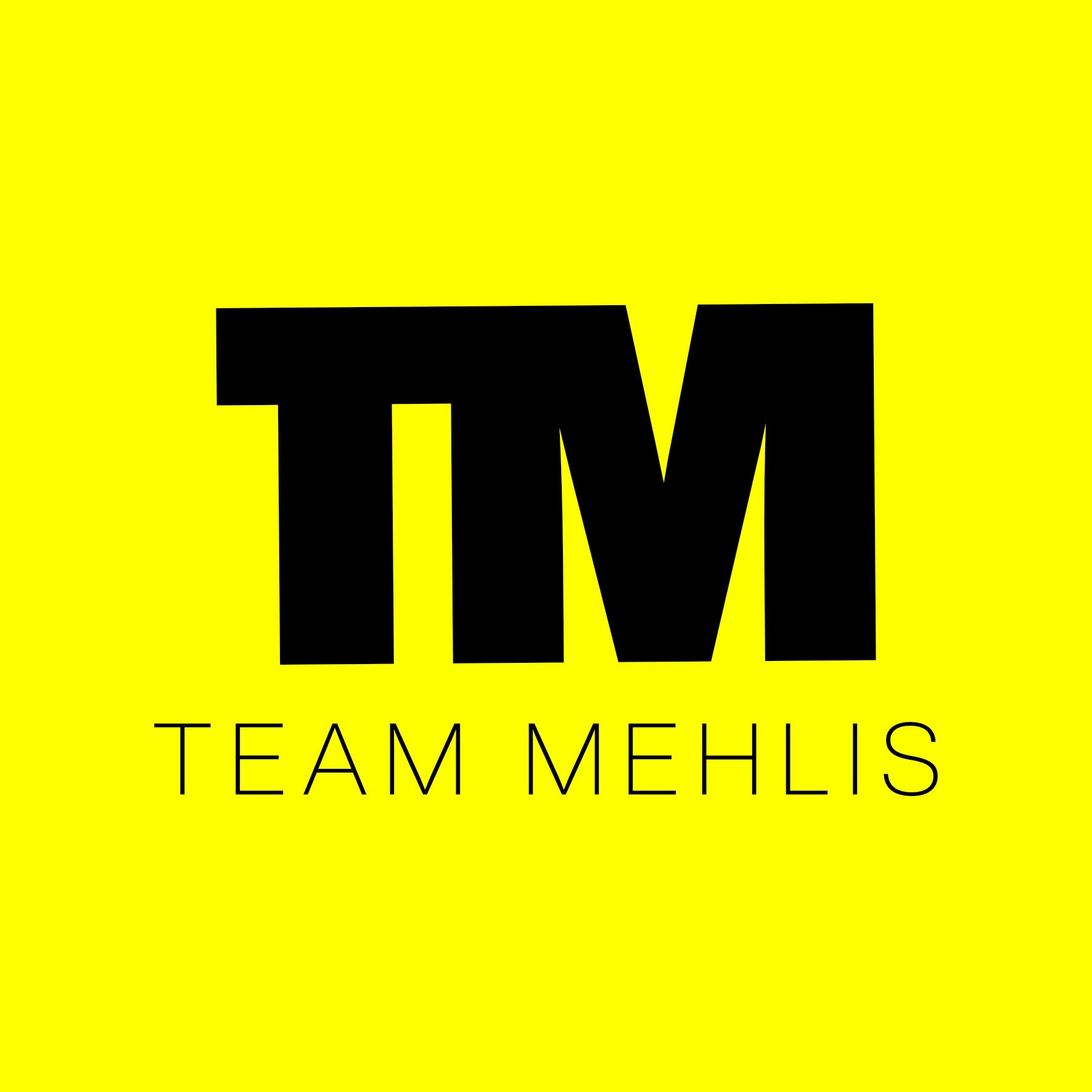 TEAM MEHLIS digital marketing gurus in Hückeswagen - Logo