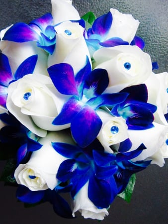 Images Rustic Petals