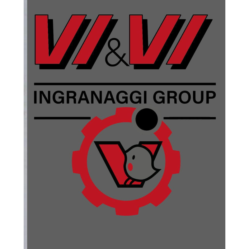 VieVi Ingranaggi Logo