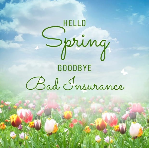 Images Renee Knepper - State Farm Insurance Agent