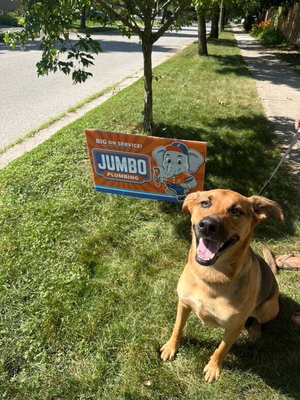 Images Jumbo Plumbing