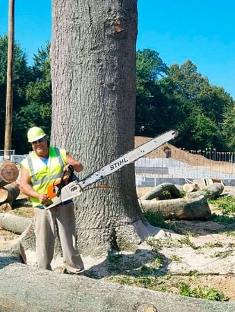 Images Jorge's Tree Service, LLC