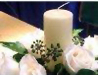 Images Orchidea di Firera Giorgio e  Sebastiano