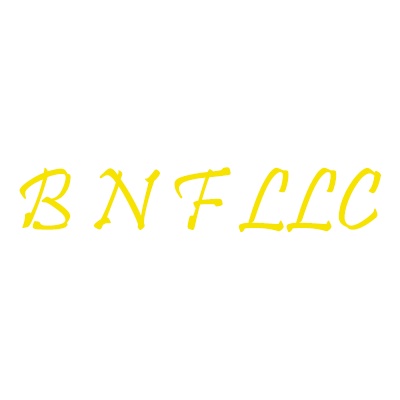 Bounce-N-Fun LLC Logo