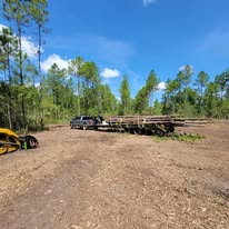 Images J & M Forestry and Mulching LLC