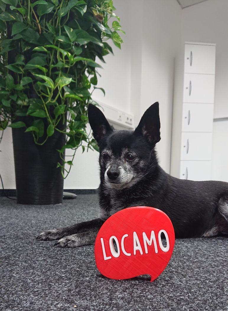 Locamo - einfach online lokal einkaufen, Birkenweg 4 in Weingarten