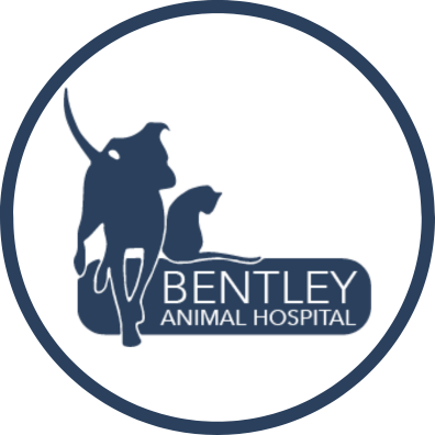 Bentley Animal Hospital Logo