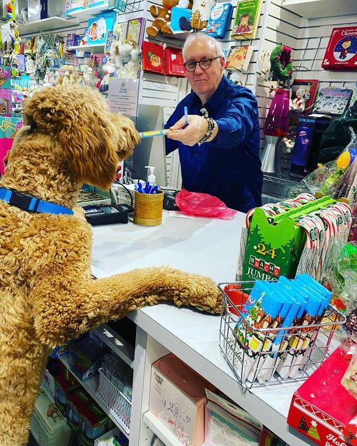 Murphy shopped for his human friends and picked up something for himself! 🐶