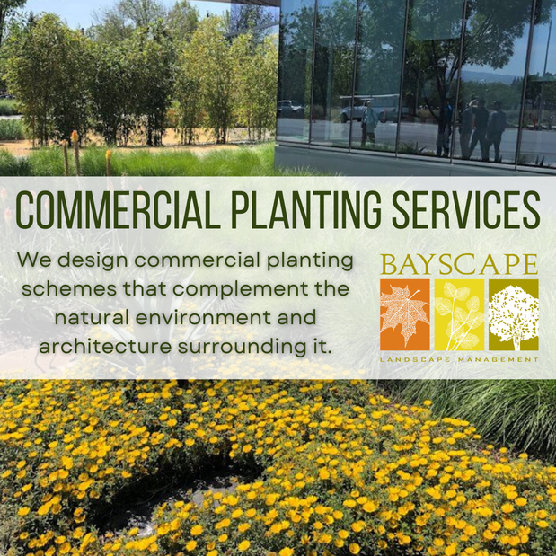 Images Bayscape Landscape Management