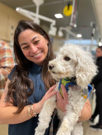 Images VCA West Los Angeles Animal Hospital