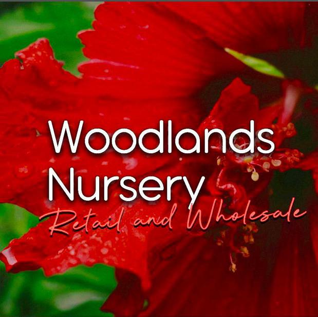 Images Woodland's Nursery LLC