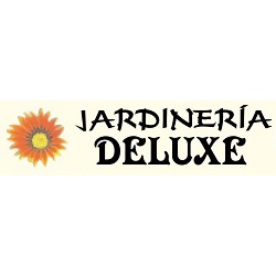 Deluxe Logo