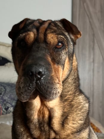 Images Sunkissed Med Spa