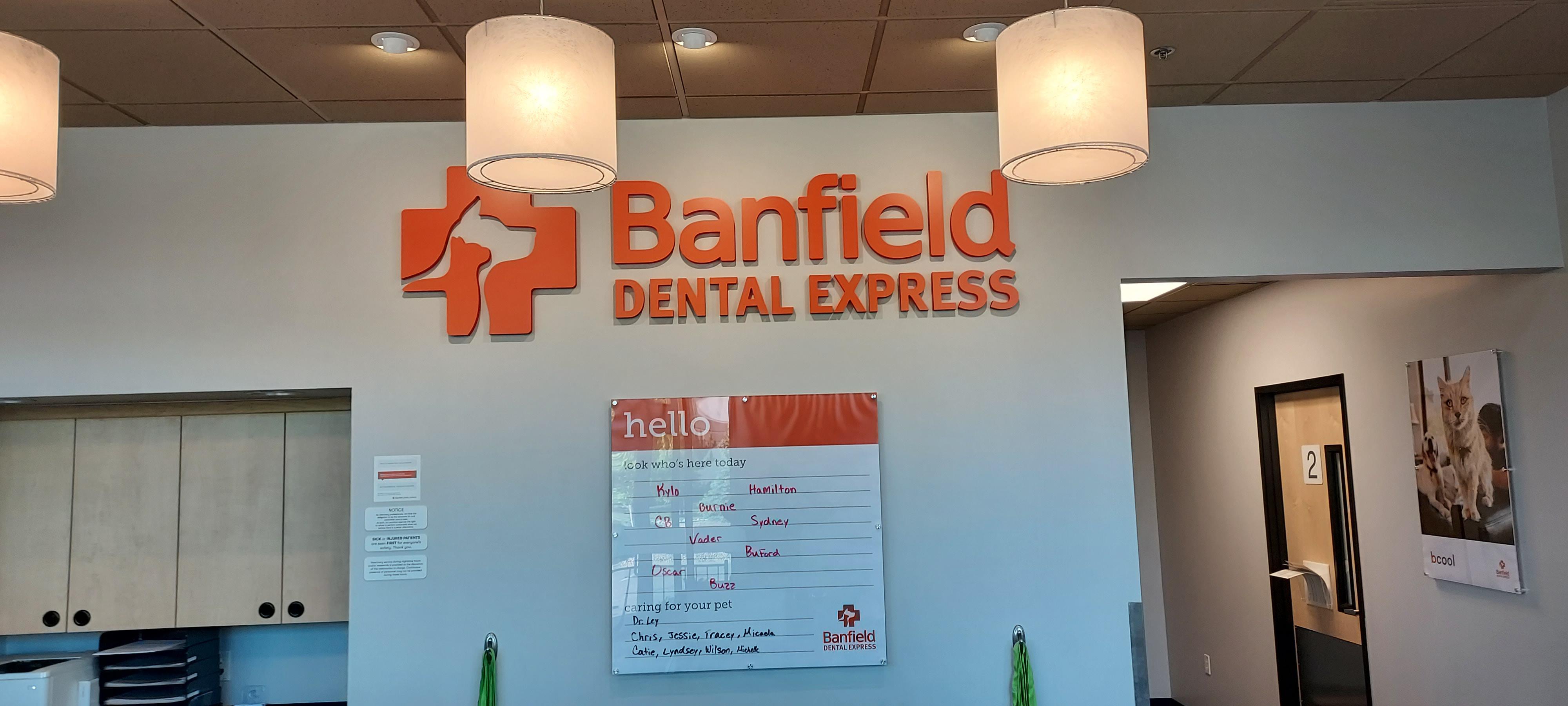 Banfield Dental Express interior