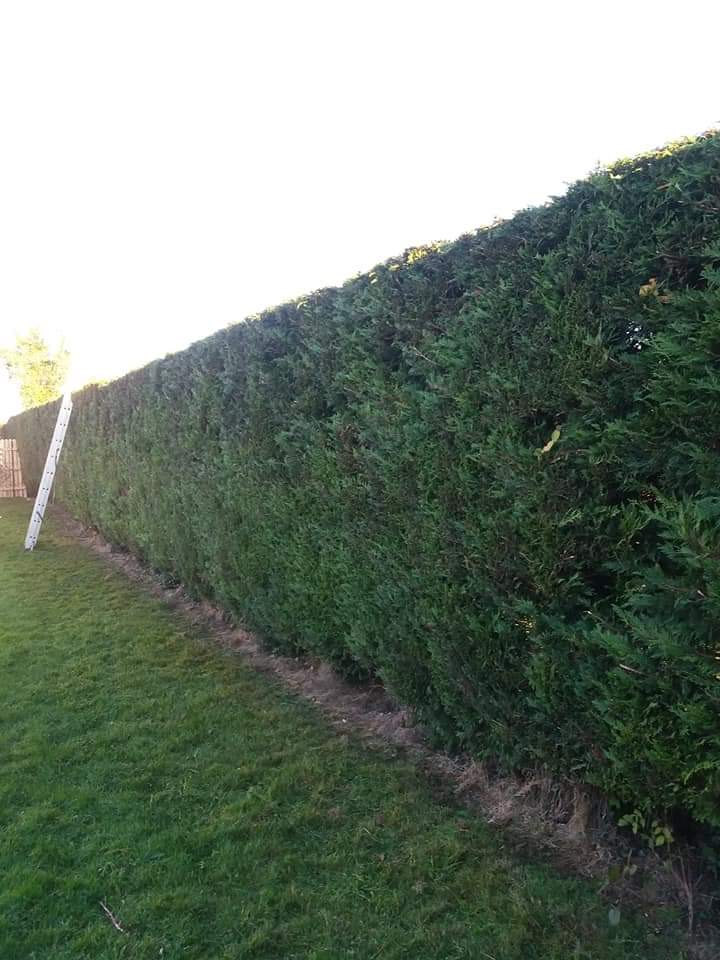 Hedge Cutting, Garden Maintenance, Power Washing, Gutter Cleaning, Decking, Fencing
