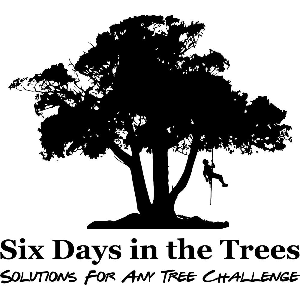 Six Days in the Trees, Llc