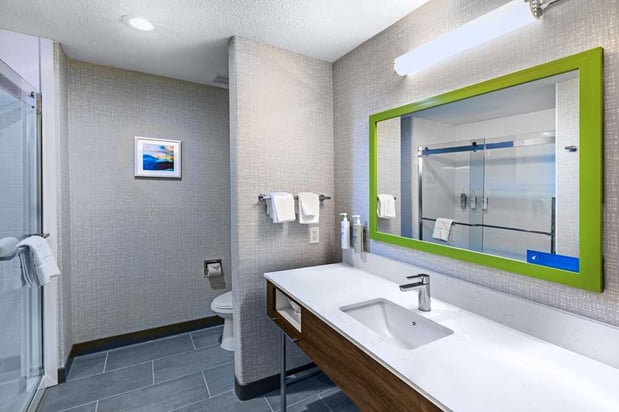 Images Hampton Inn & Suites Dallas I-30 Cockrell Hill