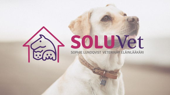 Images Eläinlääkäri Veterinär Sophie Lundqvist SoluVet