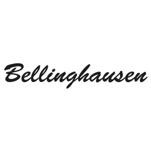 Bestattungen Dirk R. Bellinghausen in Königswinter - Logo