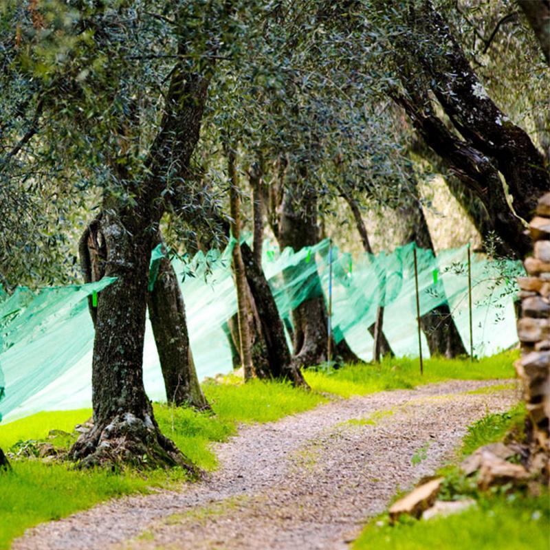 Images Azienda Agricola Sole e Sassi