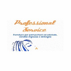 Professional Service Logo