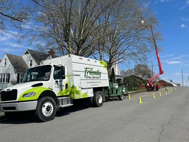 Images Friendly Tree Service Inc