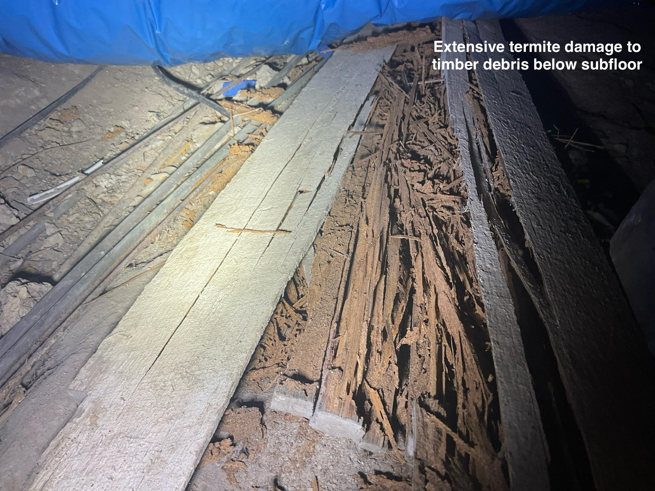 Images ACE Building and Pest Inspection