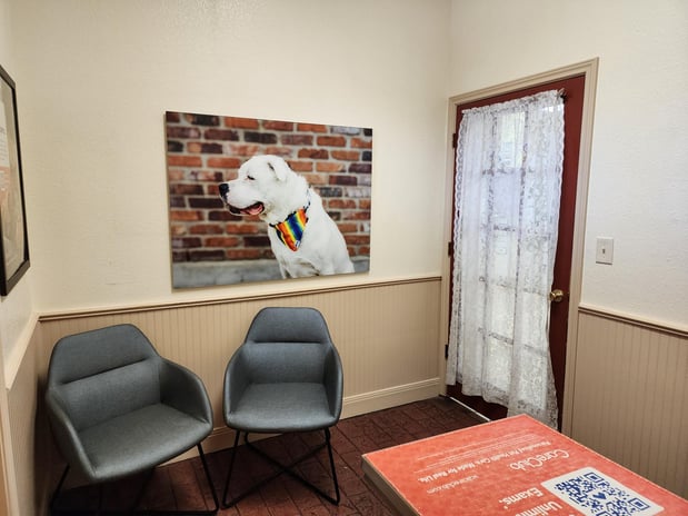 Images VCA Lakeline Animal Hospital