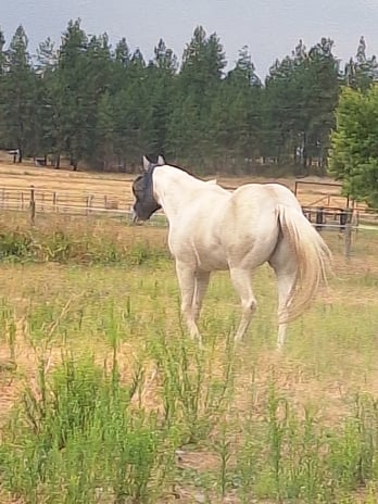 Images Painted Mountain Ranch, LLC