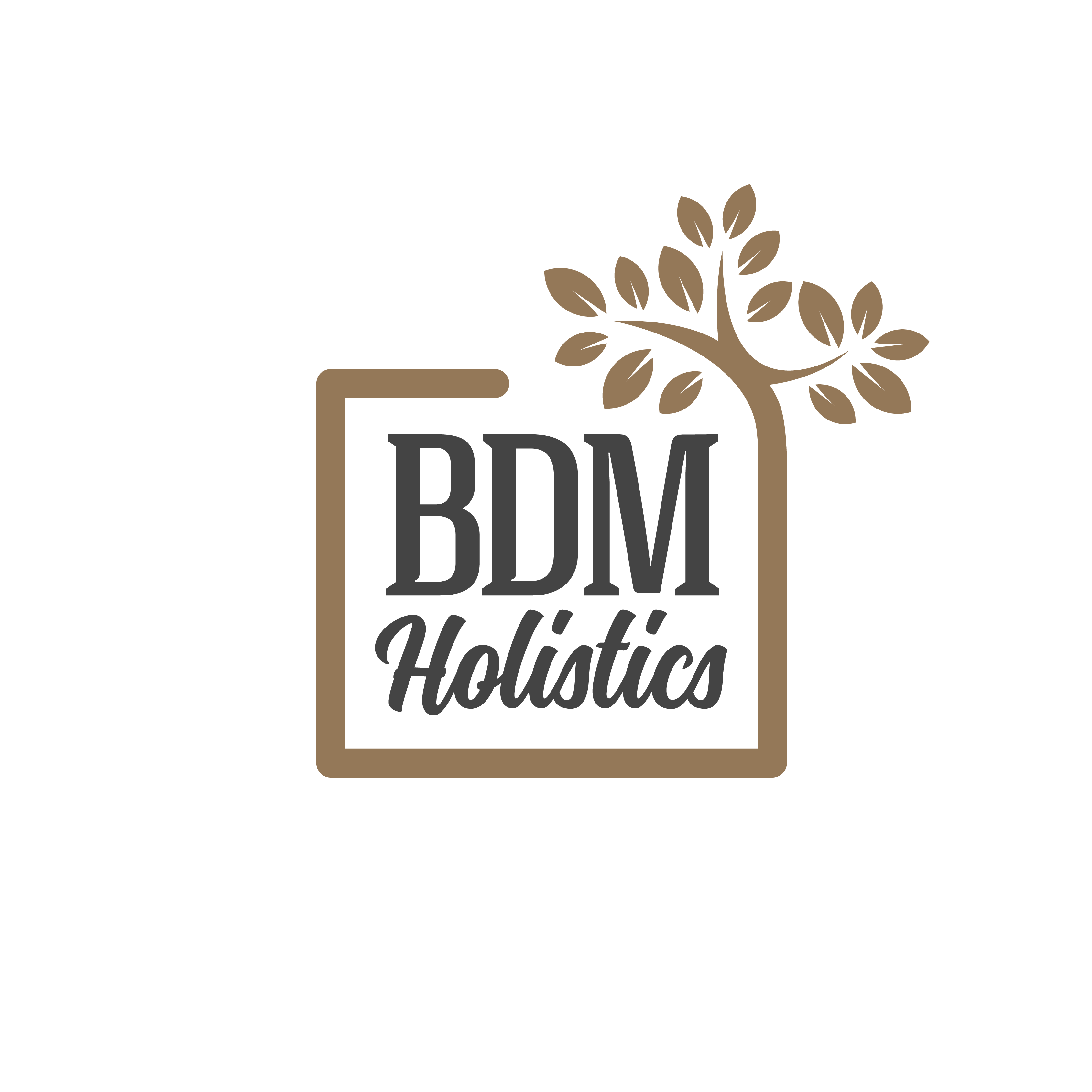 BDM Holistics Logo