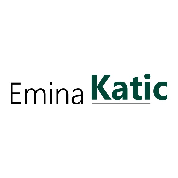 Reinigungsunternehmen Emina Katic  Wien