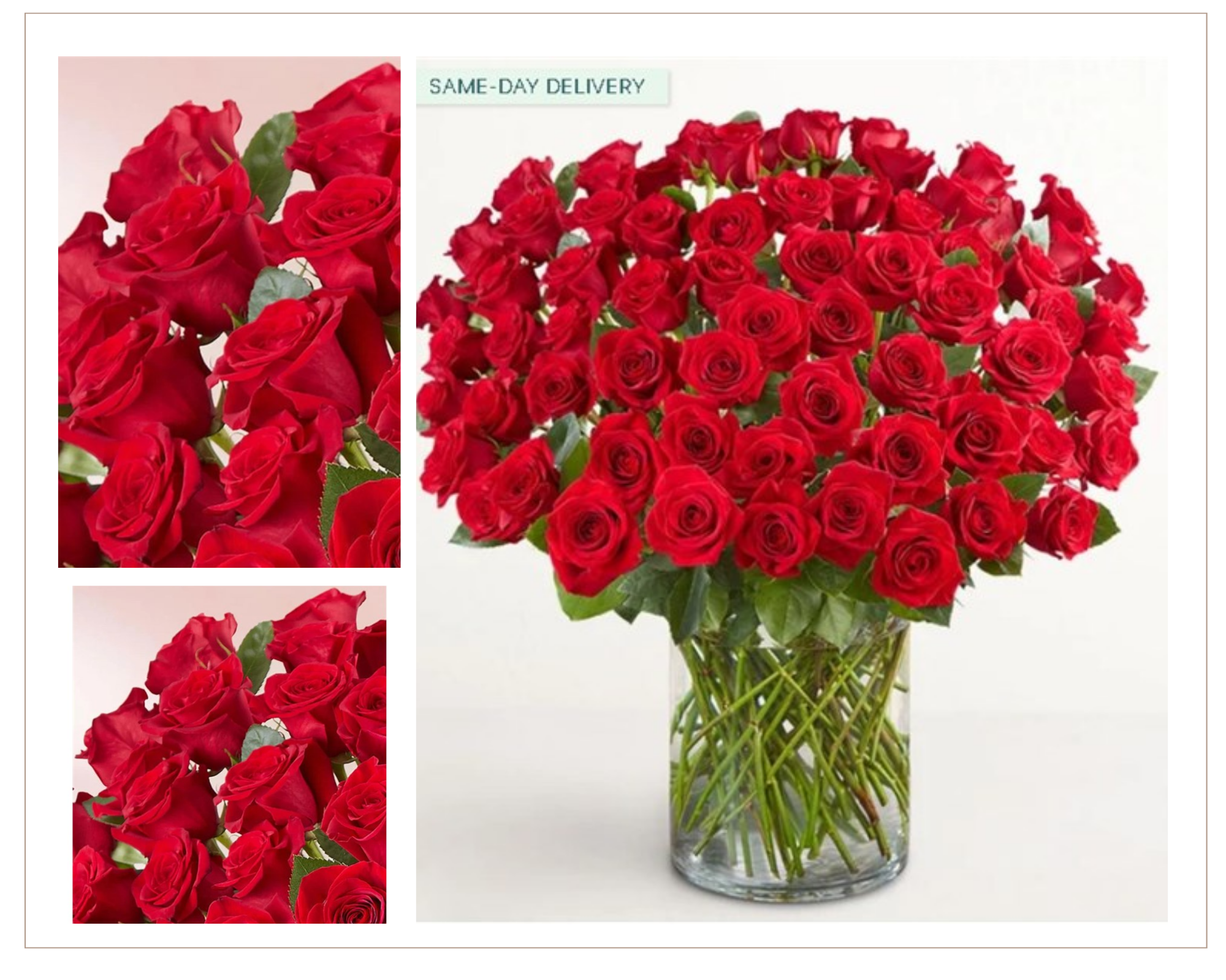 1-800-Flowers Syosset Image