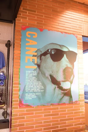 Images Raising Cane's Chicken Fingers