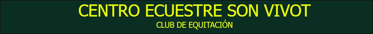 Images Son Vivot