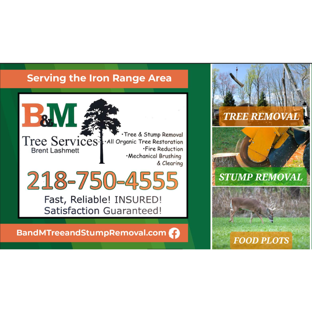 B&M Tree & Stump Removal Logo