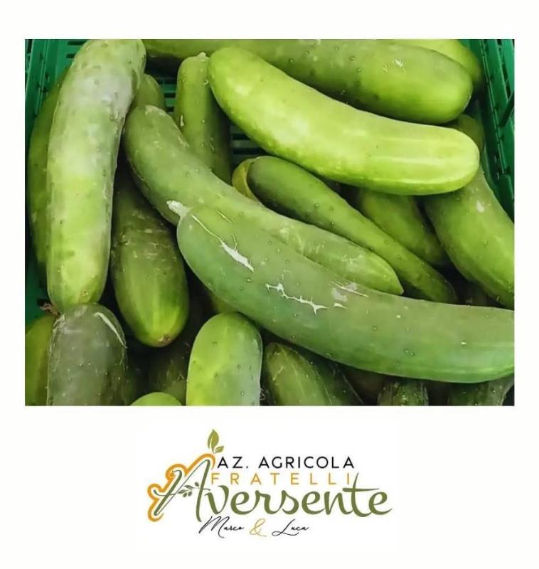 Images Azienda Agricola Aversente