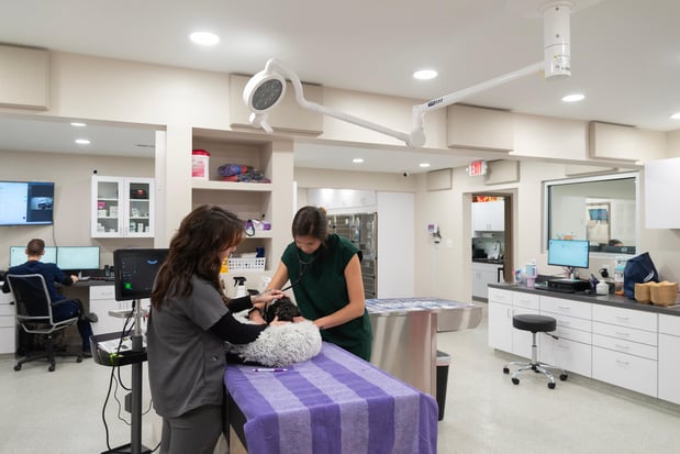 Images Furgent Care Vet