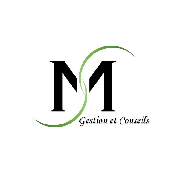 MS Gestion et Conseils Logo