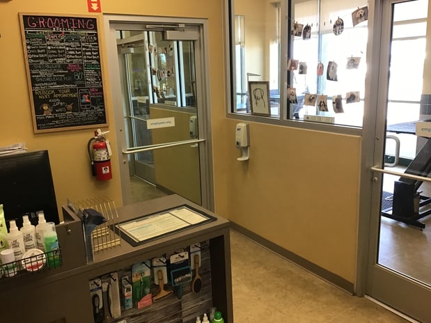 Images Petco Grooming